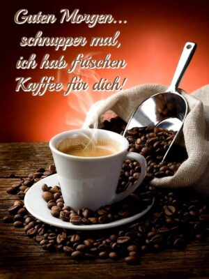 2cc8fcc5dd2c6510b21ddfedbcd6ea8f