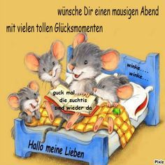 d8a179a4015fac63e33af82d2179e963.jpg Abendgruß