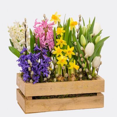 5984-bunte-mischung-im-holzkasten