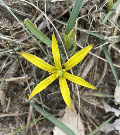 D3606DAA-D28A-46E7-8959-94DDC9596F4B