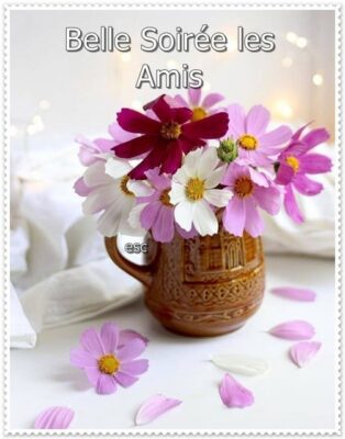 550356635_1235627138599586_2127697902505893700_n