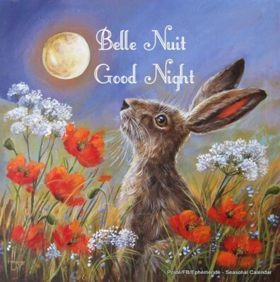 165514942_4084691688247563_7794489488783929290_n