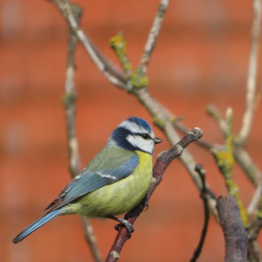 20230402135659_IMG_6620