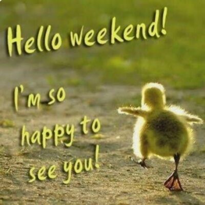 Screenshot_20251220_052221_Google