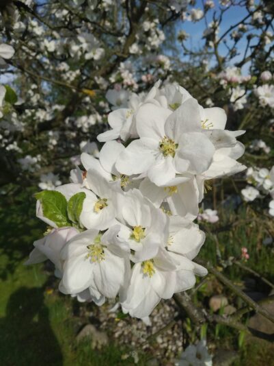 26AED5CE-6AD9-4134-8B83-E511D653E2D8