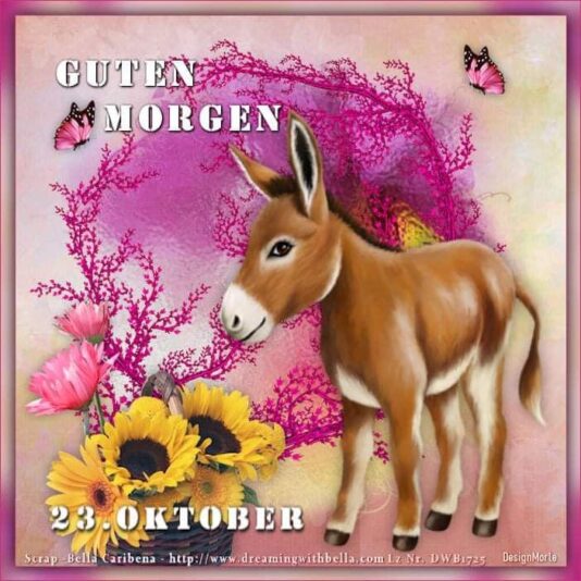 IMG_5742.JPG 23.10. 2024