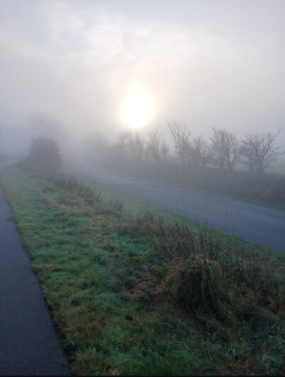 Gallery_1764153815902