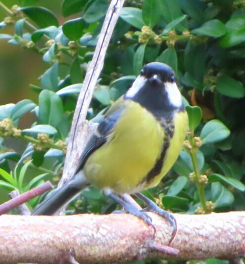 20231013105449_IMG_3095