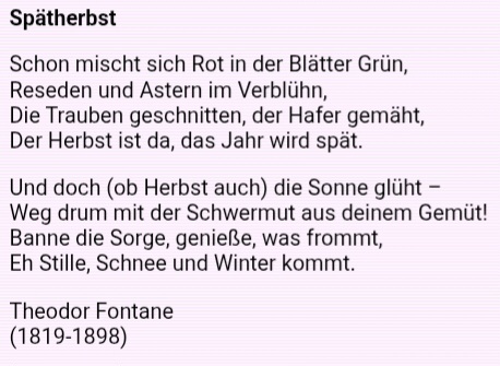 Screenshot_20251127_124733_Chrome