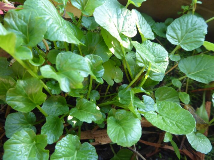 Samstag 4.9.2021 Frozan,5 Std (24)