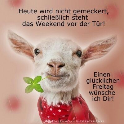 b3796d97-ceb4-4771-a942-4f3a68d4e0f6