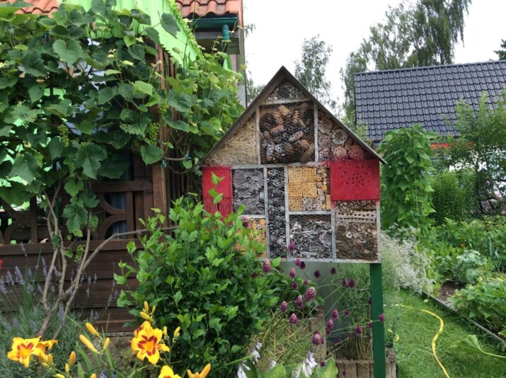 E04E20A5-30AE-4F65-8513-36F2AE15F428