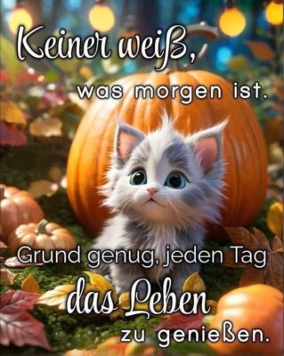 115625df2f5e1172f14c432bd94c965b