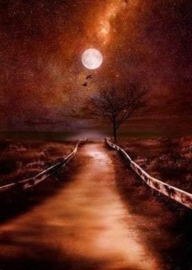 126181067_462679954704627_9150370517778022235_n