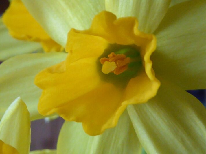 28.2.2021 letzter Wintertag.... (10)