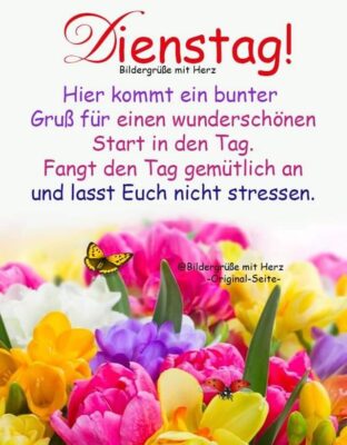 196852944_2217374875066171_3450370828692181560_n (2)