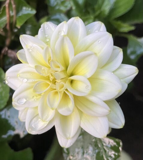 32B1E085-4DB7-4183-81FE-2A4BAF246434