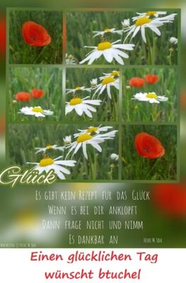 101001370_2981768111907052_6290581647737749504_o