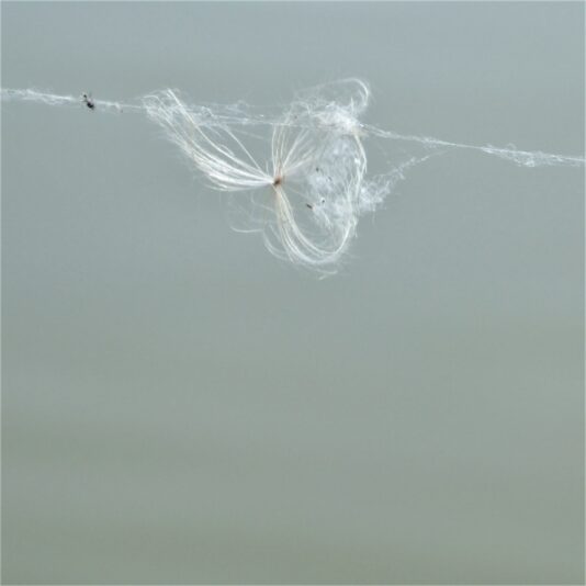 2022-07-024 Fedriges (1)