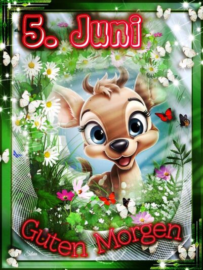 504149941_1126413756186134_6329762400386255652_n (2)