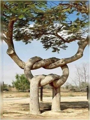 139538292_847839619407356_648988451038113138_n