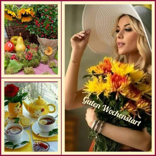 309366933_1788093488250218_9200401341457810279_n