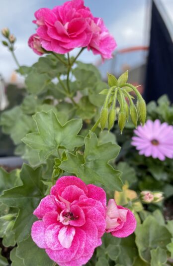 0F4C21A9-913F-4E50-B8DD-B84770663834