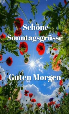 efb058da-e39c-4f29-be9c-3d13f761ff9c