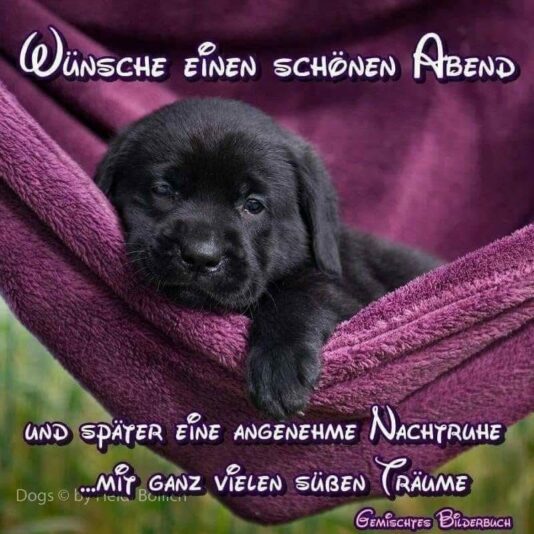 50d36904e96d3566cc3aa275453e0f58