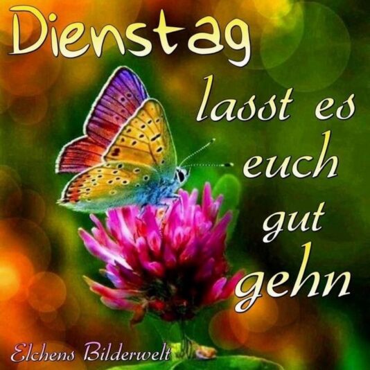 178408526_947158406057634_8703729974680864054_n (1)