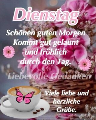 a34665d5-ad87-4d61-8c1e-9d4d075844f7