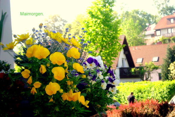 Wie herrlich leuchtet mir die Natur.