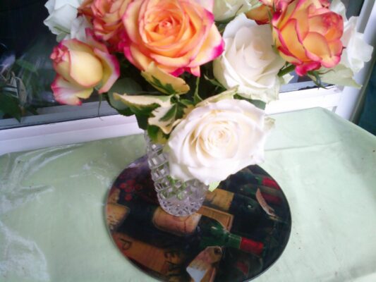 DSCF0014 - Kopie (2)