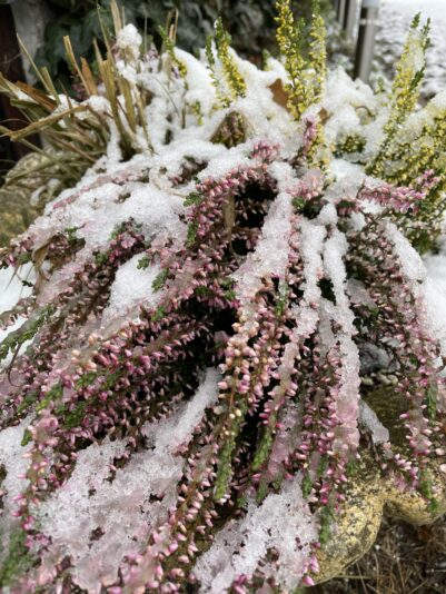 C3215A0A-53C4-4C33-8C3B-D8299D903C8F