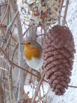 31.12.2018 Silvester... 12 Uhr(8)