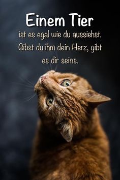 137b0bed012e2b8ac1bd16663c5a25cf