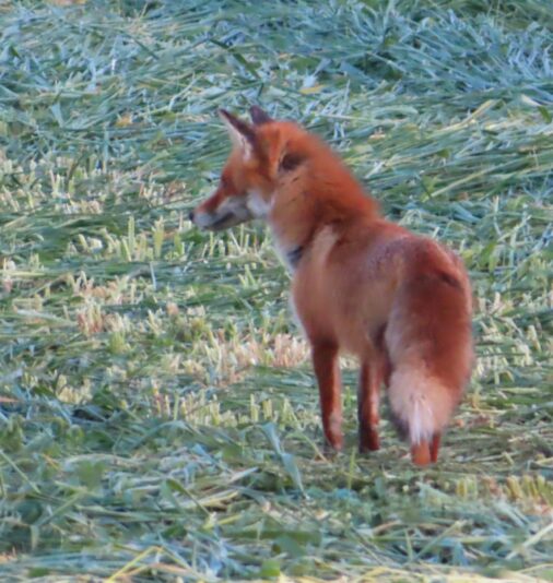 20240429192829_IMG_4800