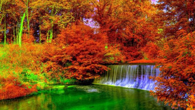 54692-schoen-herbstliche-natur-schoene-hintergrundbilder-1920x1080-fuer-computer