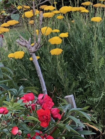 667B2887-B340-47EF-96F2-2FCDB49A0399