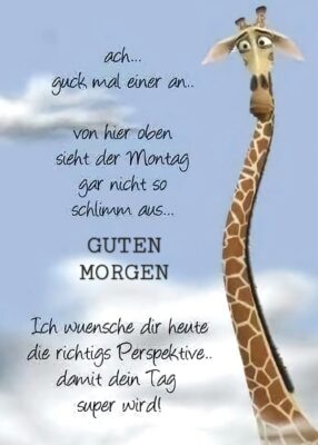 FB_IMG_1758523655998