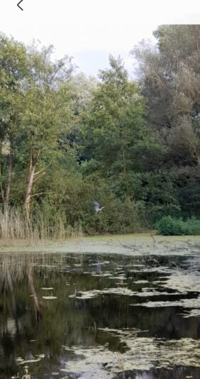 Screenshot_20240810_202007_Gallery