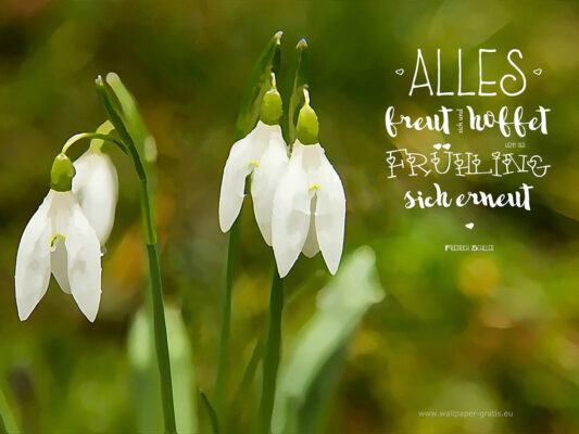 Frühlings-Zitat
