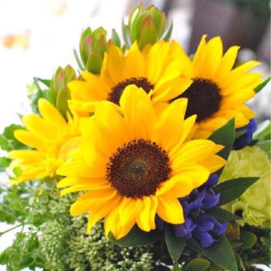 275189864_3137561639814965_709905248151810342_n