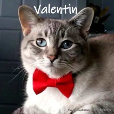 149550618_3964284670288266_2113234261159057569_n