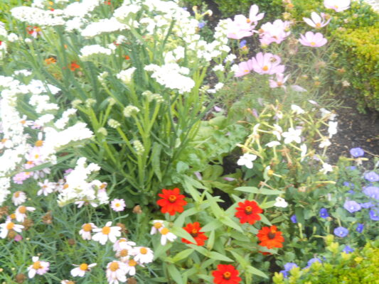 29.7.2016 würzburg 007