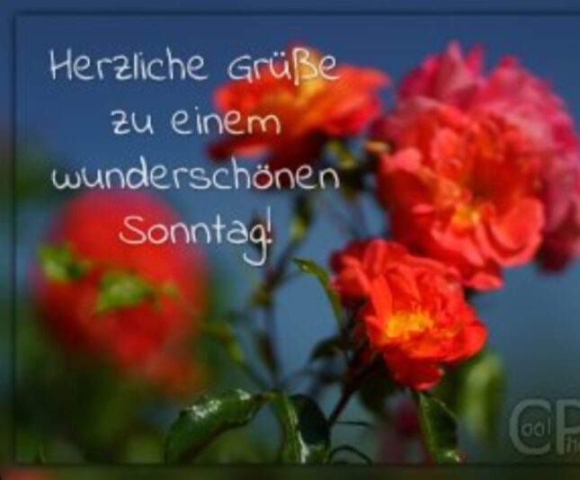 Screenshot_20251214_050208_Google