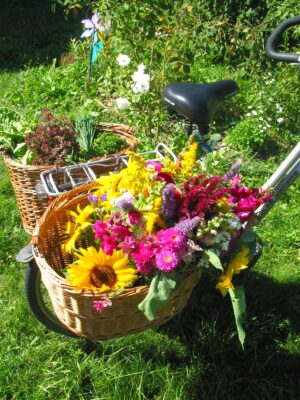 9.9.2004 einkaufen mit dem Korb auf dem Markt