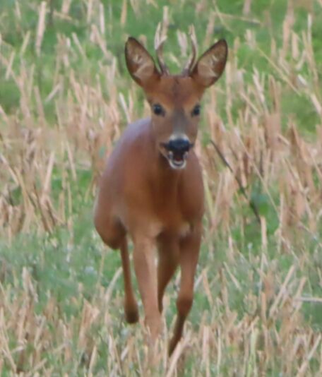 20240802195158_IMG_1426