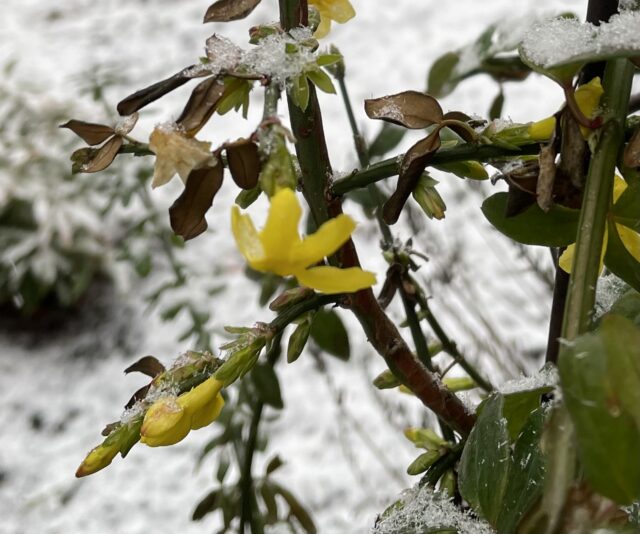 7C1FA391-93AF-4B74-AF77-E1EA916543E4