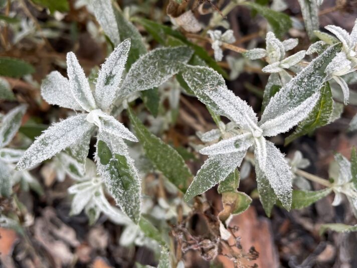 2B355EC9-11F9-4A32-98B1-D30AACAC99FB